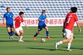 37岁阿瑙托维奇的传奇之路：中超老将如何在奥地利队大放异彩